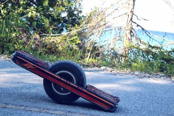 skate manual da roda de 10.5Ah 700W um com protetor Rail